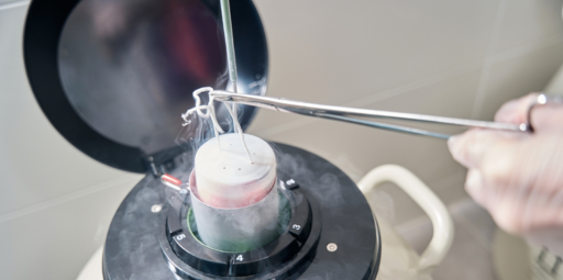 Embryo Freezing | drmanishamehta.com
