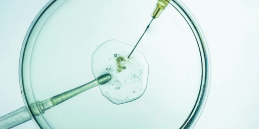 IVF treatment | drmanishamehta.com