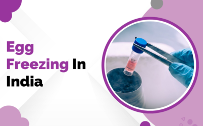 Egg Freezing in India — Cost and Process