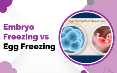 Embryo Freezing vs Egg Freezing