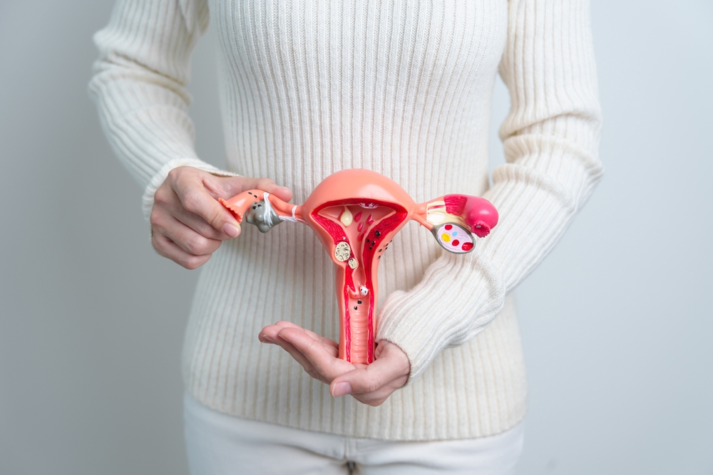 Person in a cream sweater holds a pink plastic model of the female reproductive system (uterus, fallopian tubes, ovaries) for education.