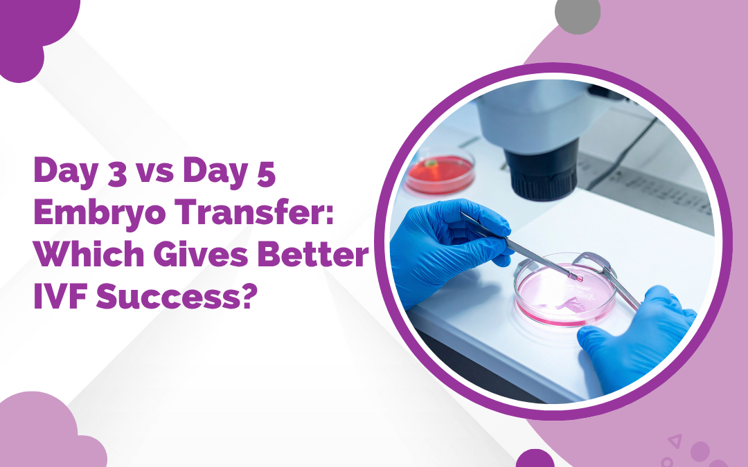 Day 3 vs Day 5 Embryo Transfer: Which Gives Better IVF Success?