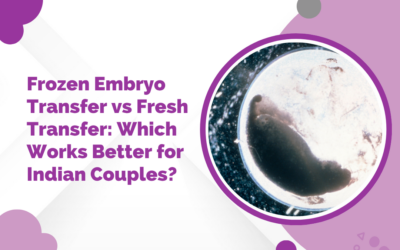 Frozen Embryo Transfer vs Fresh Transfer: Which Works Better for Indian Couples?