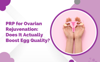 PRP for Ovarian Rejuvenation: Does It Actually Boost Egg Quality?