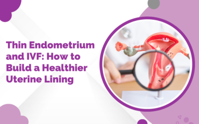 Thin Endometrium and IVF: How to Build a Healthier Uterine Lining?
